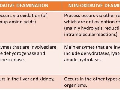 OXIDATIVE AND NON-OXIDATIVE&nbsp;DEAMINATION